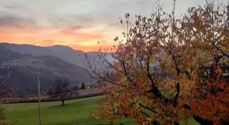 IMG_20201110_170140